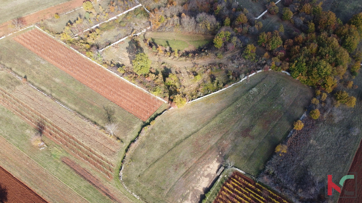 Istria - Svetvincenat, terreno 5700m2 in una posizione tranquilla